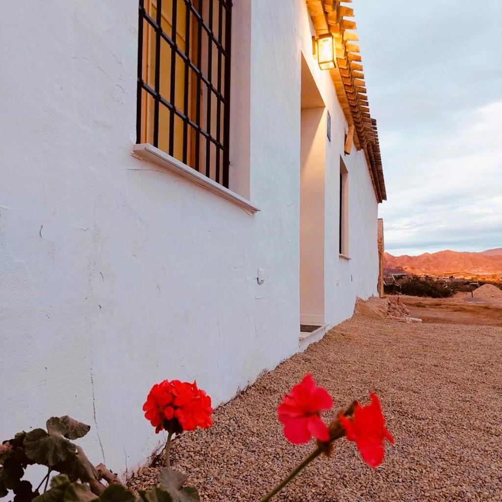 Casa Vacaciones Almadraba Cabo Cope Βίλα Águilas Εξωτερικό φωτογραφία